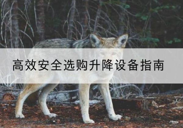 洪泽升降货梯厂家推荐-*安全选购升降设备指南