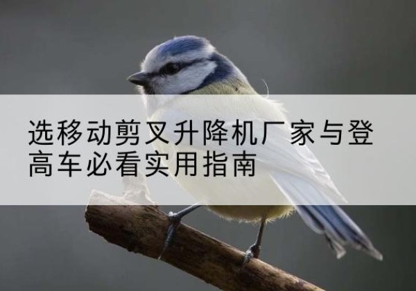 洪泽电动升降机厂家-选移动剪叉升降机厂家与登高车必看实用指南