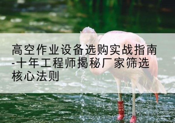 洪泽剪叉式升降机厂家-高空作业设备选购实战指南-十年工程师揭秘厂家筛选核心法则