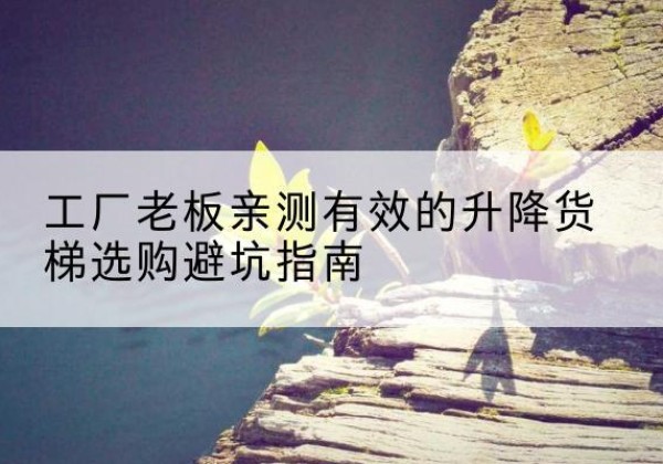 洪泽升降货梯怎么选-工厂老板亲测有效的升降货梯选购避坑指南